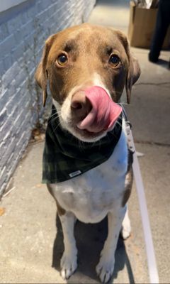 Momma's Grocery + Wine by null