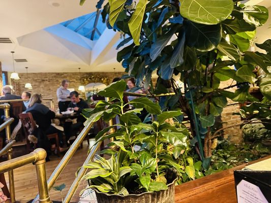 Phoebe's Restaurant & Coffee Lounge by null