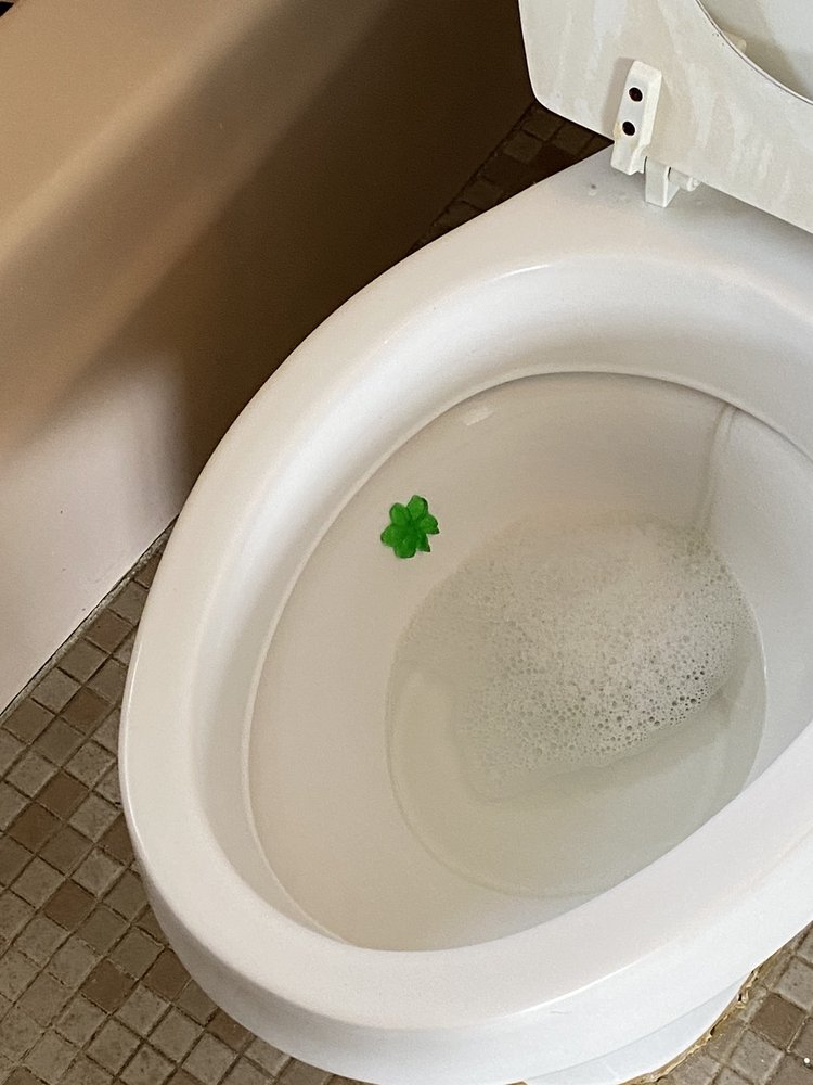 BRIGHT WHITE CLEANING SERVICES Request a Quote Lockhart, Florida