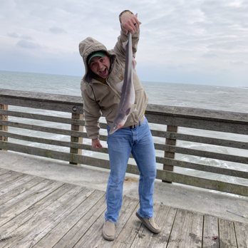 Jennette's Pier - Spiny dogfish - Aquariums Near Me - Nags Head, North Carolina Jennette's Pier - Spiny dogfish - Aquariums Near Me - Nags Head, North Carolina