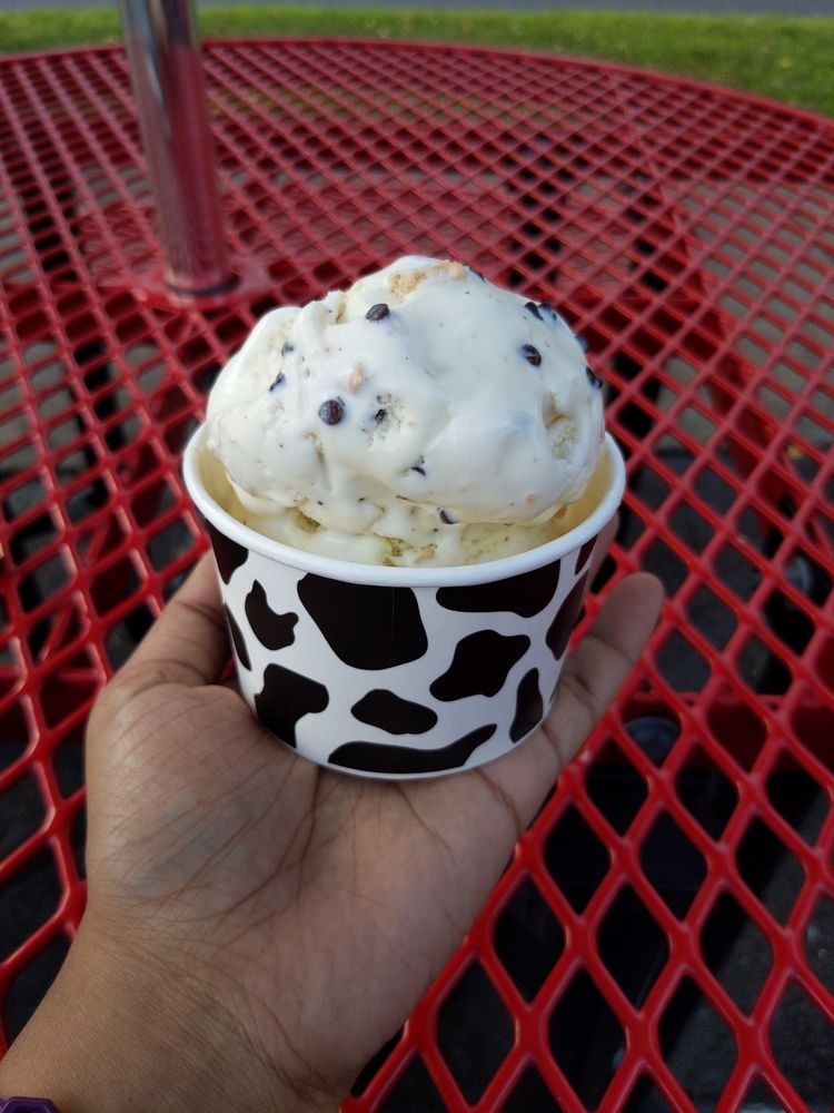JOSIE’S FROZEN CUSTARD 25 Photos & 12 Reviews 115 S Wyoming Ave, Kingston, Pennsylvania