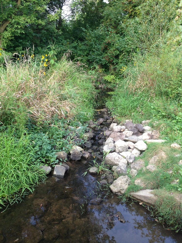FITCHIE CREEK FOREST PRESERVE Updated June 2024 MidCounty Trl