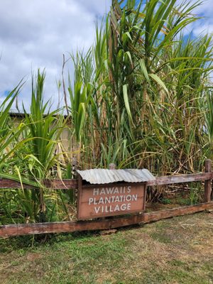 Hawaii's Plantation Village by null