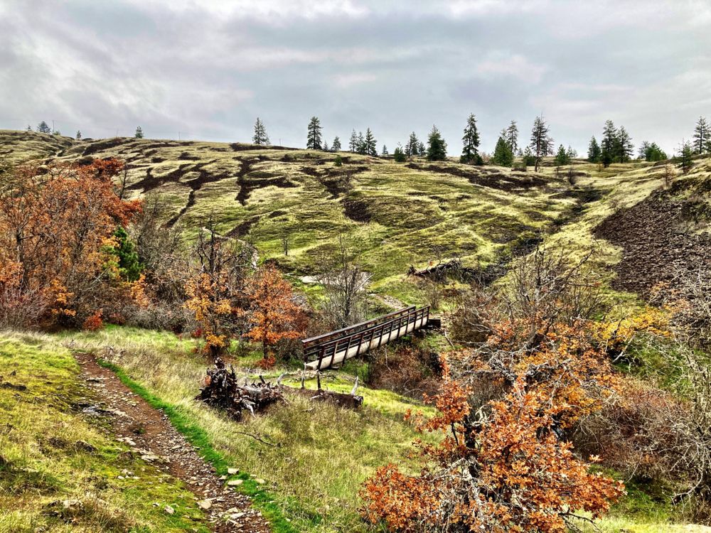 CATHERINE CREEK TRAIL Updated April 2024 119 Photos & 10 Reviews