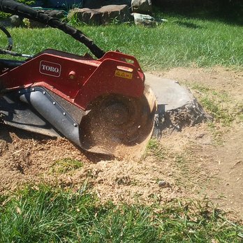 Stumpco - Tree Services Near Me Stumpco - Tree Services Near Me
