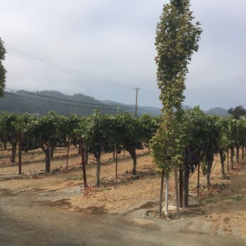 Mauritson Wines - Wineries Near Me - Healdsburg, California Mauritson Wines - Wineries Near Me - Healdsburg, California