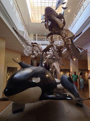 Biarritz Aquarium by null