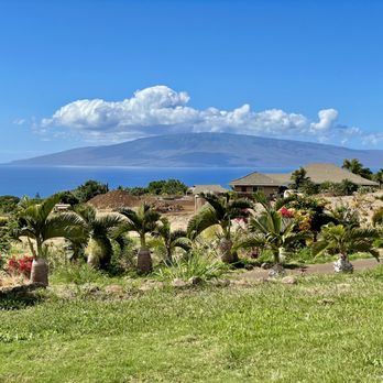 Maui Dragon Fruit Farm - Fruits & Veggies Near Me - Lahaina, Hawaii Maui Dragon Fruit Farm - Fruits & Veggies Near Me - Lahaina, Hawaii