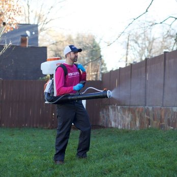 Mosquito Authority - Pest Control Near Me Mosquito Authority - Pest Control Near Me