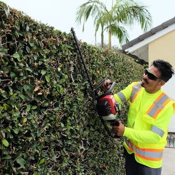 Genaro Landscape - Superior Landscape & Gardening Services in Huntington Beach, CA - Lawn Services Near Me Genaro Landscape - Superior Landscape & Gardening Services in Huntington Beach, CA - Lawn Services Near Me