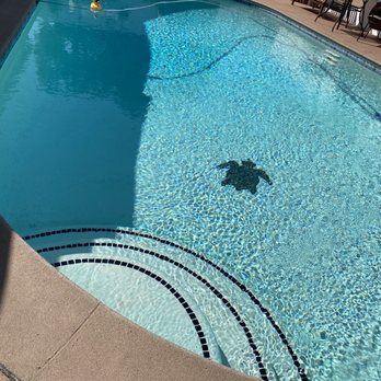 Elite Pool Services - Pool Cleaners Near Me Elite Pool Services - Pool Cleaners Near Me