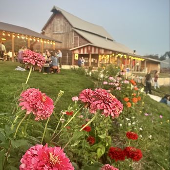 Luna Valley Pizza Farm - Pizza Near Me - Decorah, Iowa Luna Valley Pizza Farm - Pizza Near Me - Decorah, Iowa