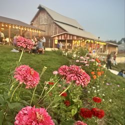 Luna Valley Pizza Farm