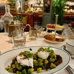 The Ivy Cambridge Brasserie - Avocado toast