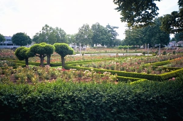 Peninsula Park Rose Garden by null