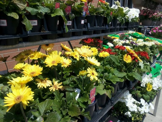 Walmart Supercenter by null