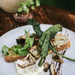 Little Tree Bake & Brewhouse