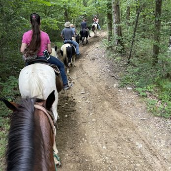 Davy Crockett Riding Stables - Another group ride photo! - Horseback Riding Near Me - Townsend, Tennessee Davy Crockett Riding Stables - Another group ride photo! - Horseback Riding Near Me - Townsend, Tennessee