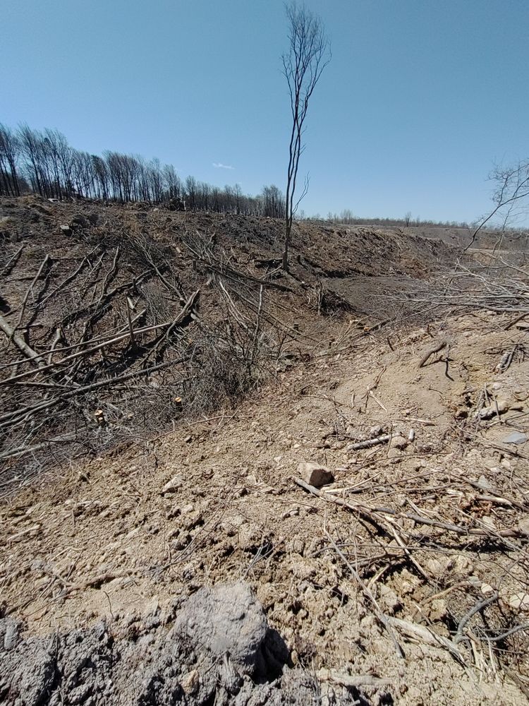 TREES R US Request a Quote 11 Photos Bloomsburg, Pennsylvania