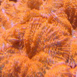 All About Fish