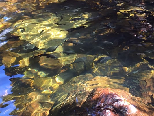 Litchfield National Park by null