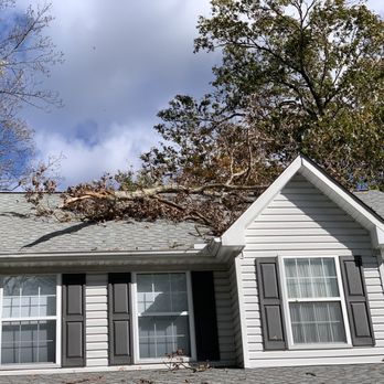 Captain's Tree Service - Tree Services Near Me Captain's Tree Service - Tree Services Near Me