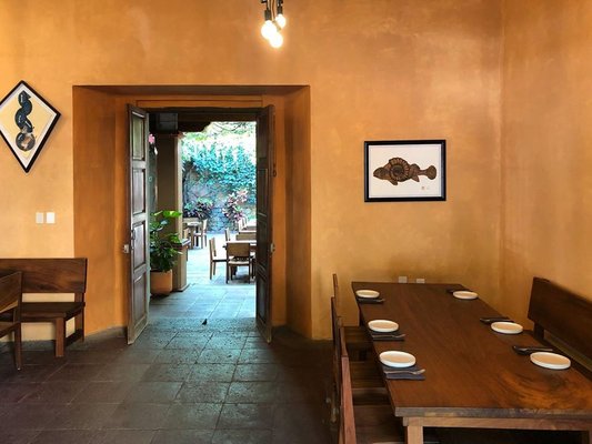 Maguey y Maíz by null