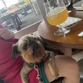Skydance Brewing - Breweries Near Me - Oklahoma City, Oklahoma