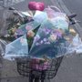 Photo of Orkide Blomster