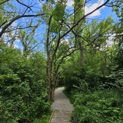Koogler Wetland Prairie Reserve