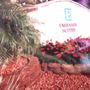 Photo of Professional Landscaping & Design By Sergio