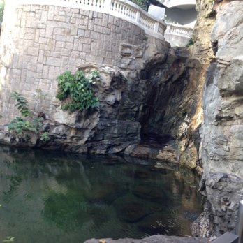 香港公園 - Parks Near Me - Hong Kong, HK 香港公園 - Parks Near Me - Hong Kong, HK