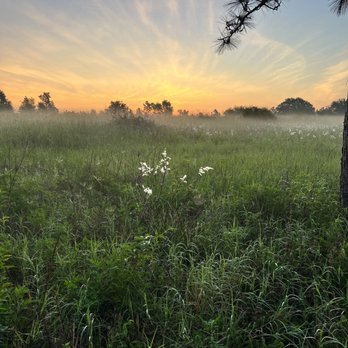 LAKE LOUISA STATE PARK - Updated January 2025 - 494 Photos & 175 ...