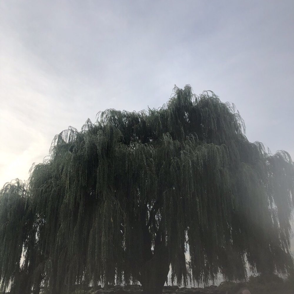 Edgewater Park - Parks Near Me - Cleveland, Ohio