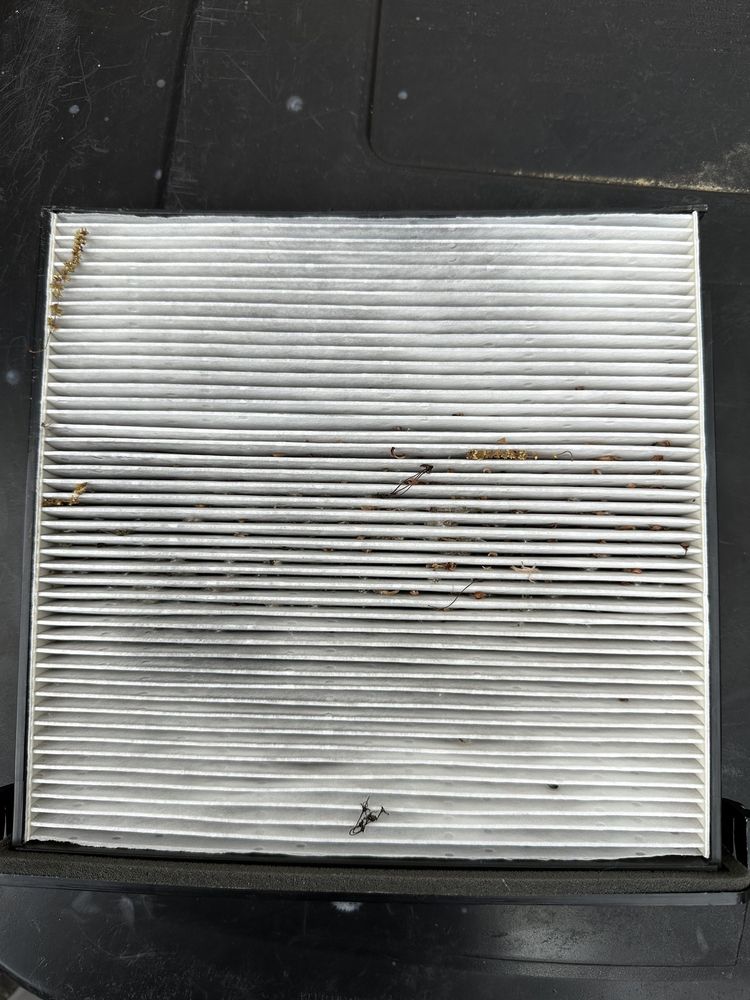 HERB CHAMBERS HONDA OF WESTBOROUGH Updated August 2024 26 Photos