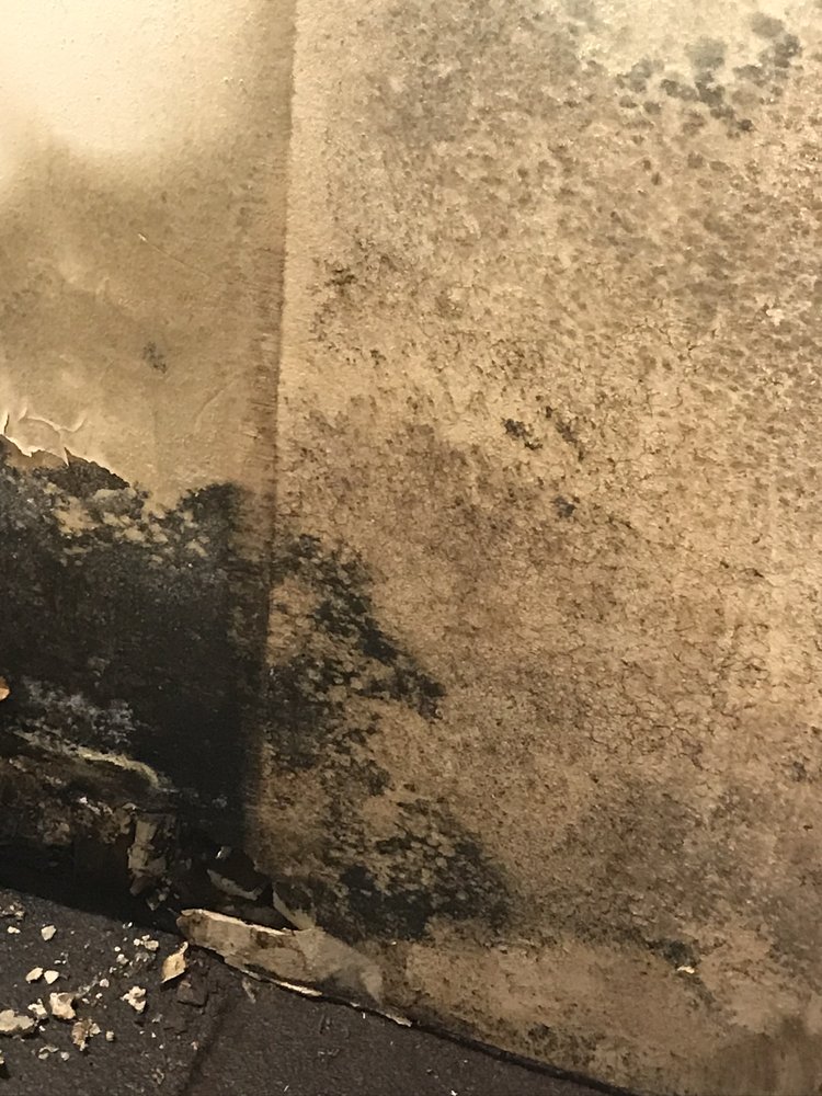 CAPTAIN COVES APARTMENTS Updated March 2024 15 Photos 811