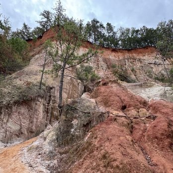 Providence Canyon State Park - View of Canyon 4 - Parks Near Me - Lumpkin, Georgia Providence Canyon State Park - View of Canyon 4 - Parks Near Me - Lumpkin, Georgia