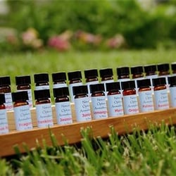 Better Health Brenda - Essential OIls
