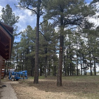 Anytime Tree Service - Tree Services Near Me Anytime Tree Service - Tree Services Near Me