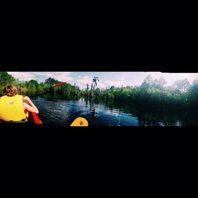Laura S. Walker State Park by null