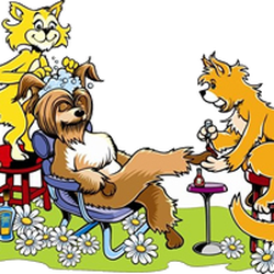 Puppy Love Pet Spa - No dog or cat turned away ! Call Today !