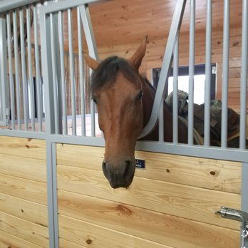 High Meadows Farms - Horseback Riding Near Me - Wolfeboro, New Hampshire
