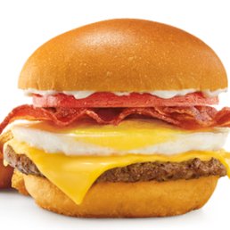 The new Sonic Brunch Burger. What it's suppose to look like vs what it actually looks like.