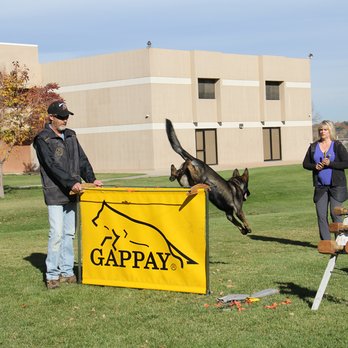 K9 Denver - Competitive Dog Training - Pet Training Near Me - Denver, Colorado K9 Denver - Competitive Dog Training - Pet Training Near Me - Denver, Colorado