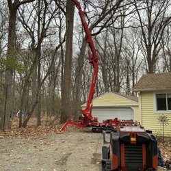 McKay Tree Specialist