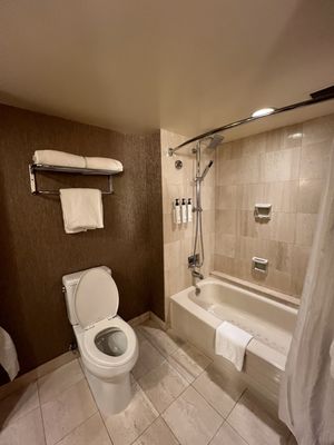 Pan Pacific Vancouver by null