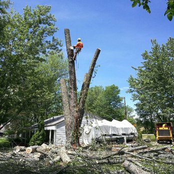 Reyes Tree Service - Almost done - Tree Services Near Me - Columbus, Ohio Reyes Tree Service - Almost done - Tree Services Near Me - Columbus, Ohio