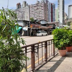 油麻地果欄