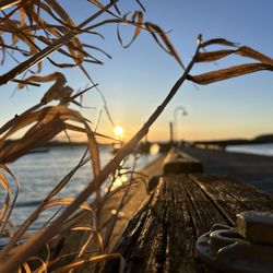 Gene Coulon Memorial Beach Park - The first Dock
