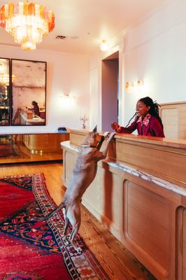 Hotel Saint Vincent by null